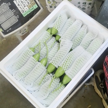 奶油黄瓜，