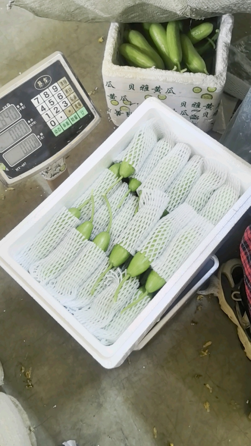 奶油黄瓜，