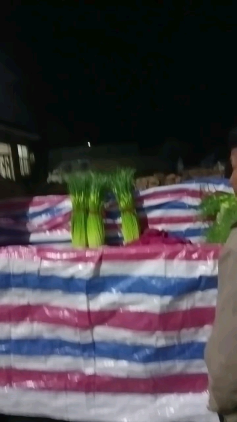 徐州白帽蒜薹大量上市