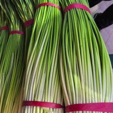 精品白帽鲜蒜苔大量现货，（无泡水)一手货源产地直发