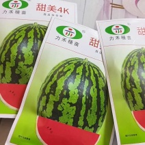 甘美4KF1西瓜种子进口种源皮薄含糖量15度耐裂性强易坐