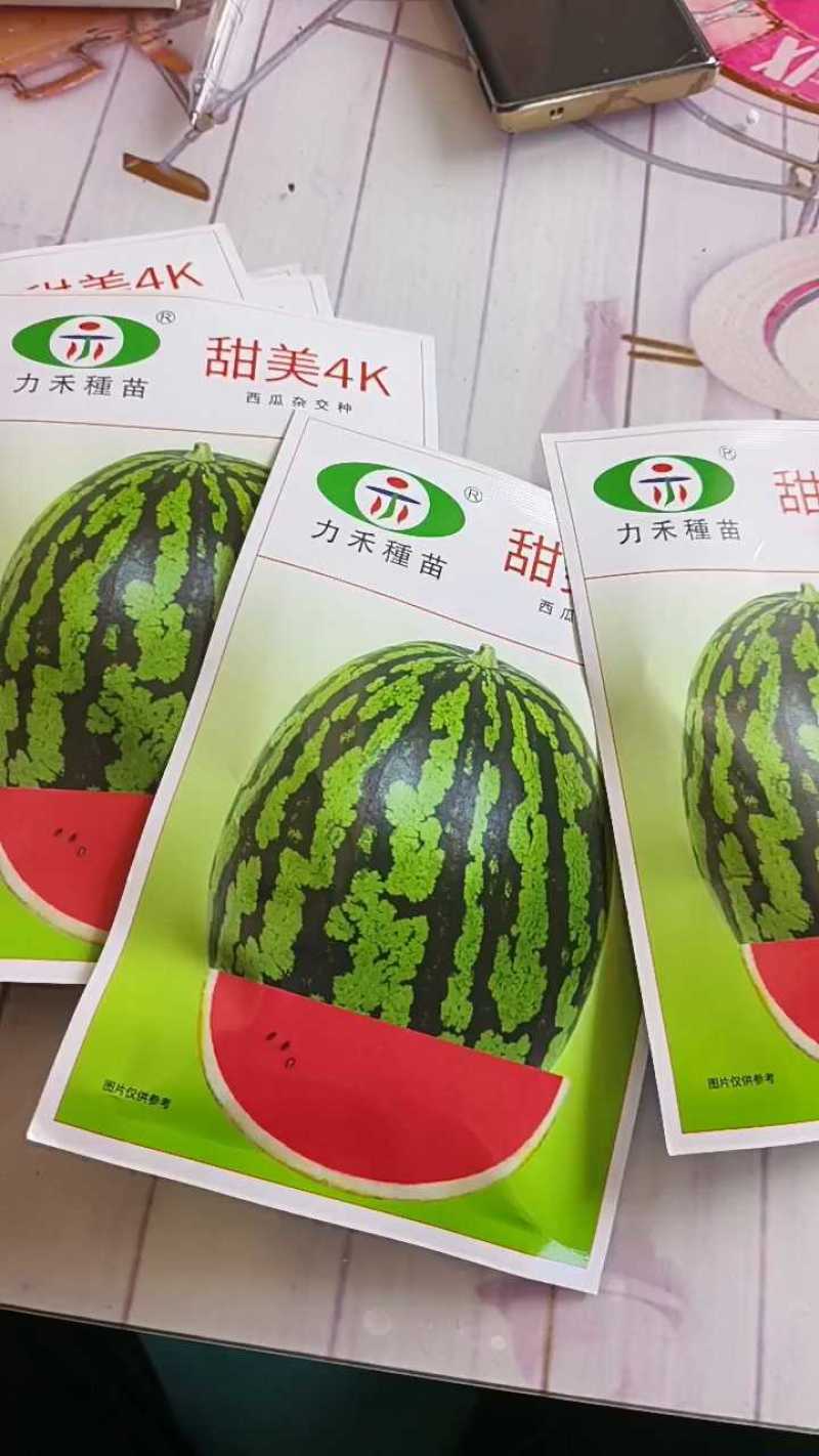 甘美4KF1西瓜种子进口种源皮薄含糖量15度耐裂性强易坐