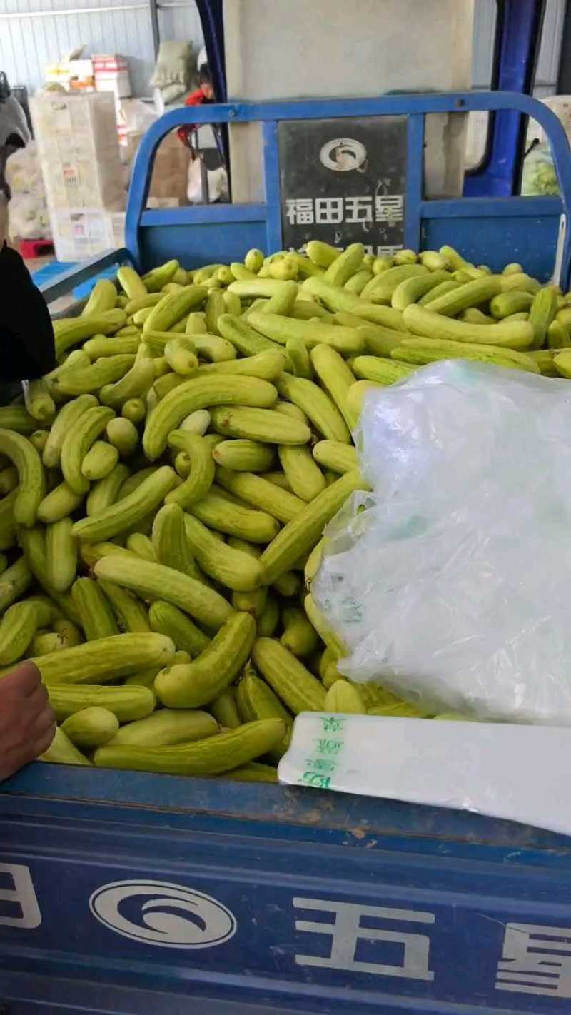 白黄瓜，大量供应，基地直供，品牌保证，量大从优