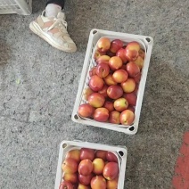 567规格，大批量有货，4月1号发车