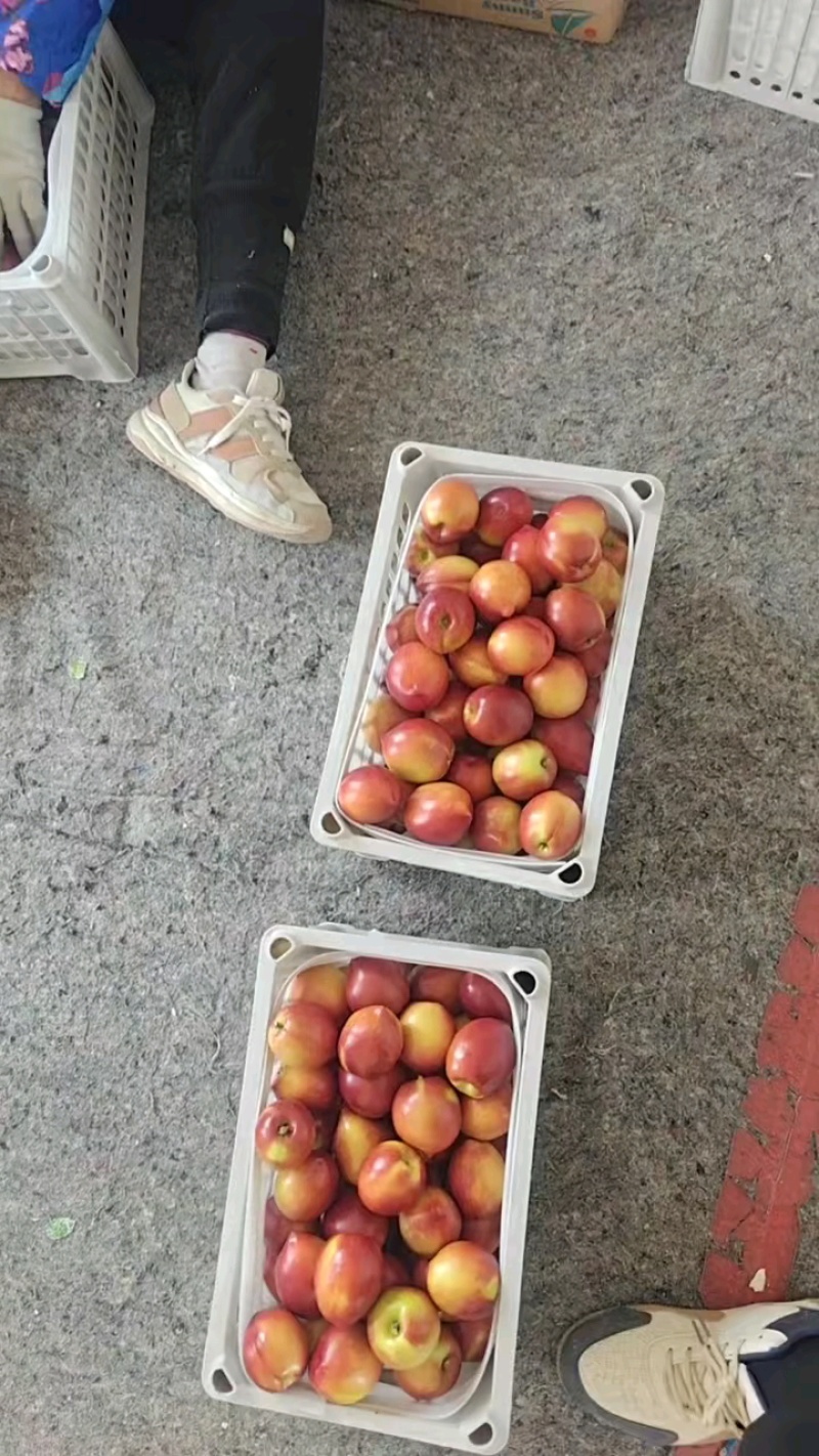 567规格，大批量有货，4月1号发车