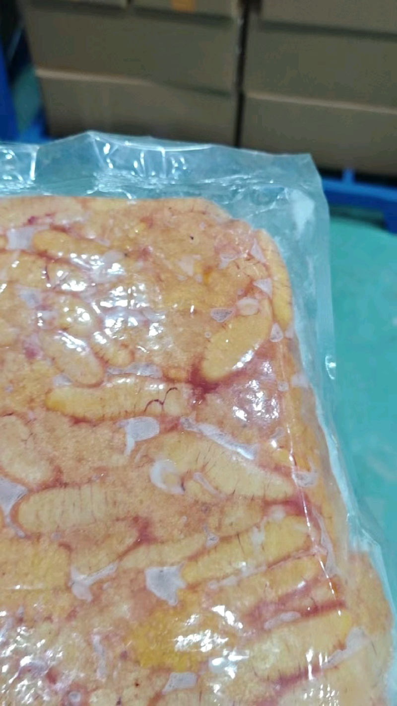 精品鲈鱼籽，现货现发，欢迎认购，今日开工，欢迎下单