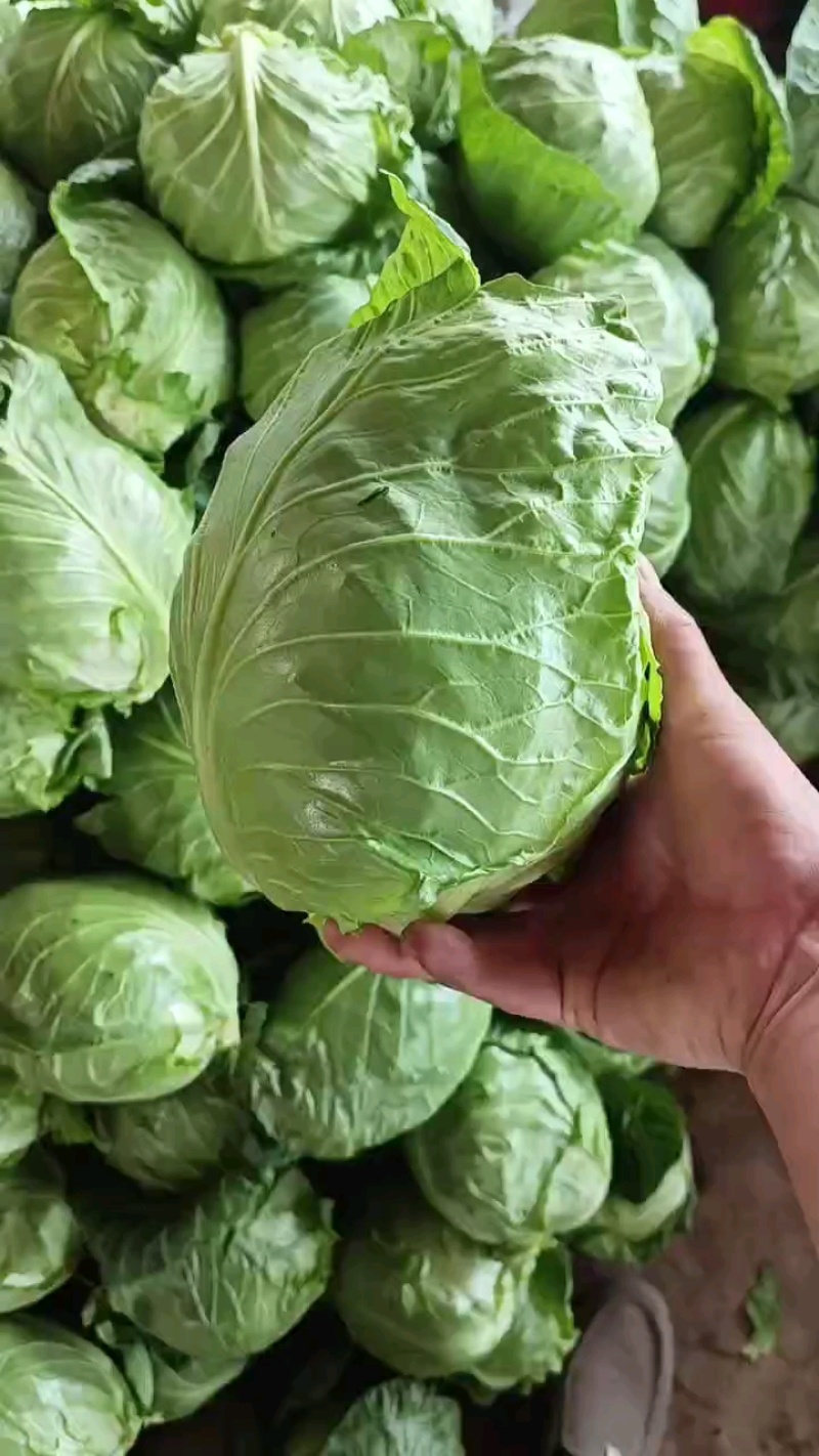 甘兰