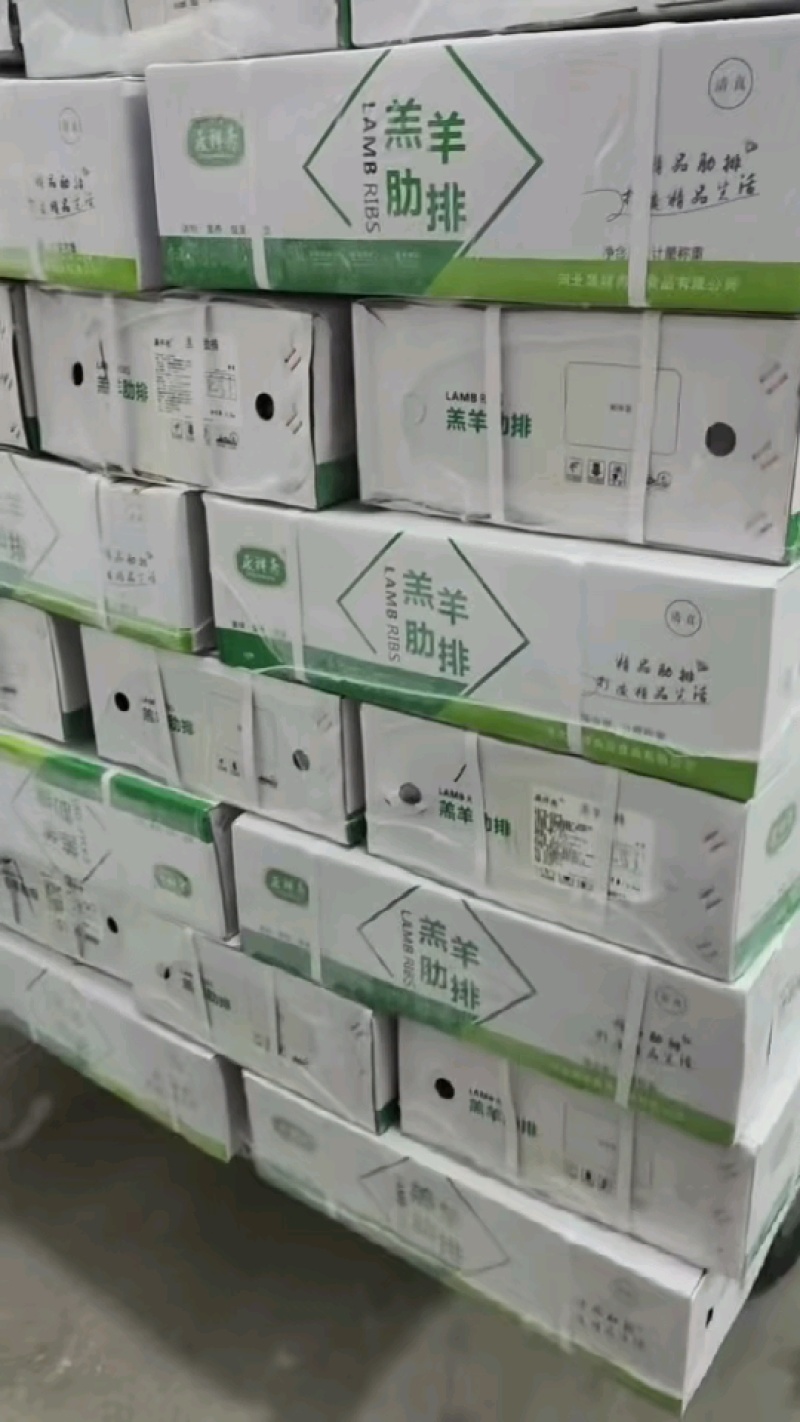 内蒙精修羊排