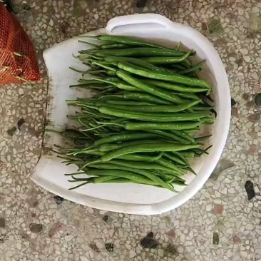 分类清晰，弯直分明，规格齐全。