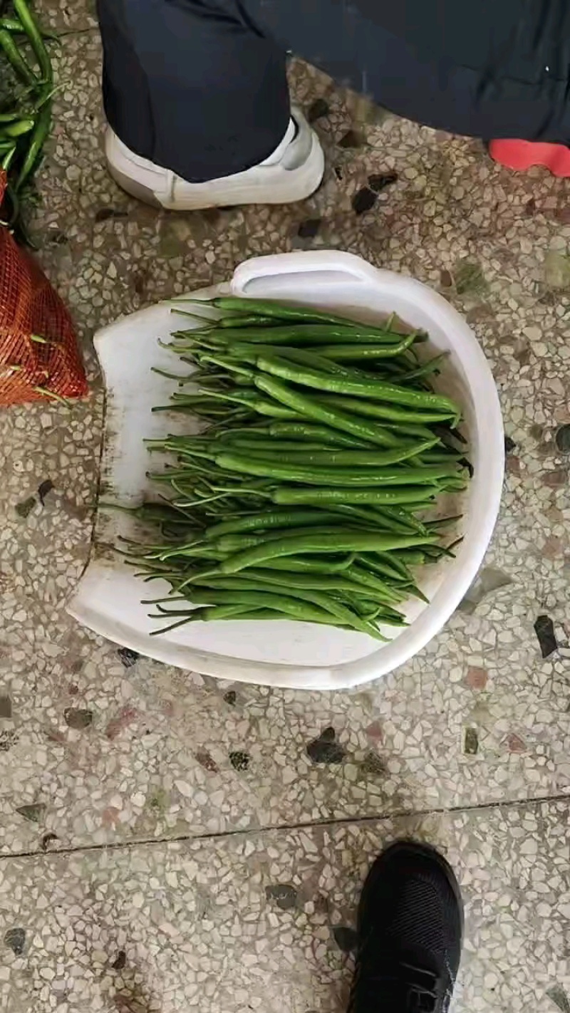 分类清晰，弯直分明，规格齐全。