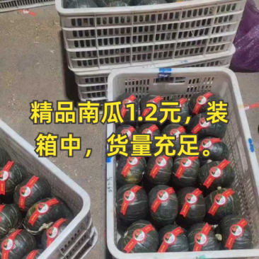 精品南瓜1.2元，装箱中