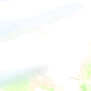 黄心白菜，漂亮实惠！