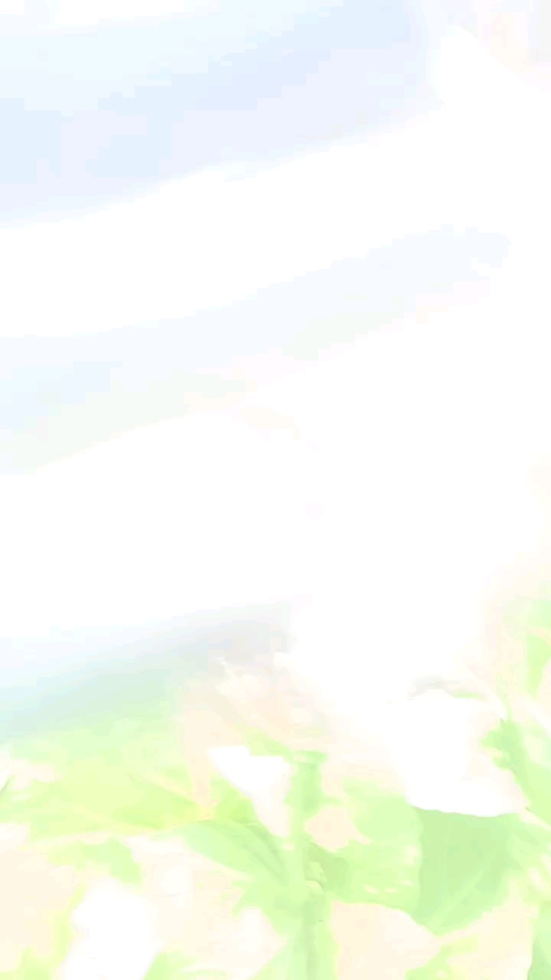 黄心白菜，漂亮实惠！