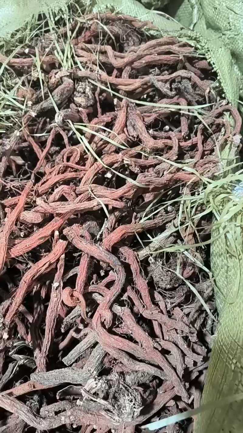 丹参一级，沂蒙山山区里的特产，批发零售产地直发