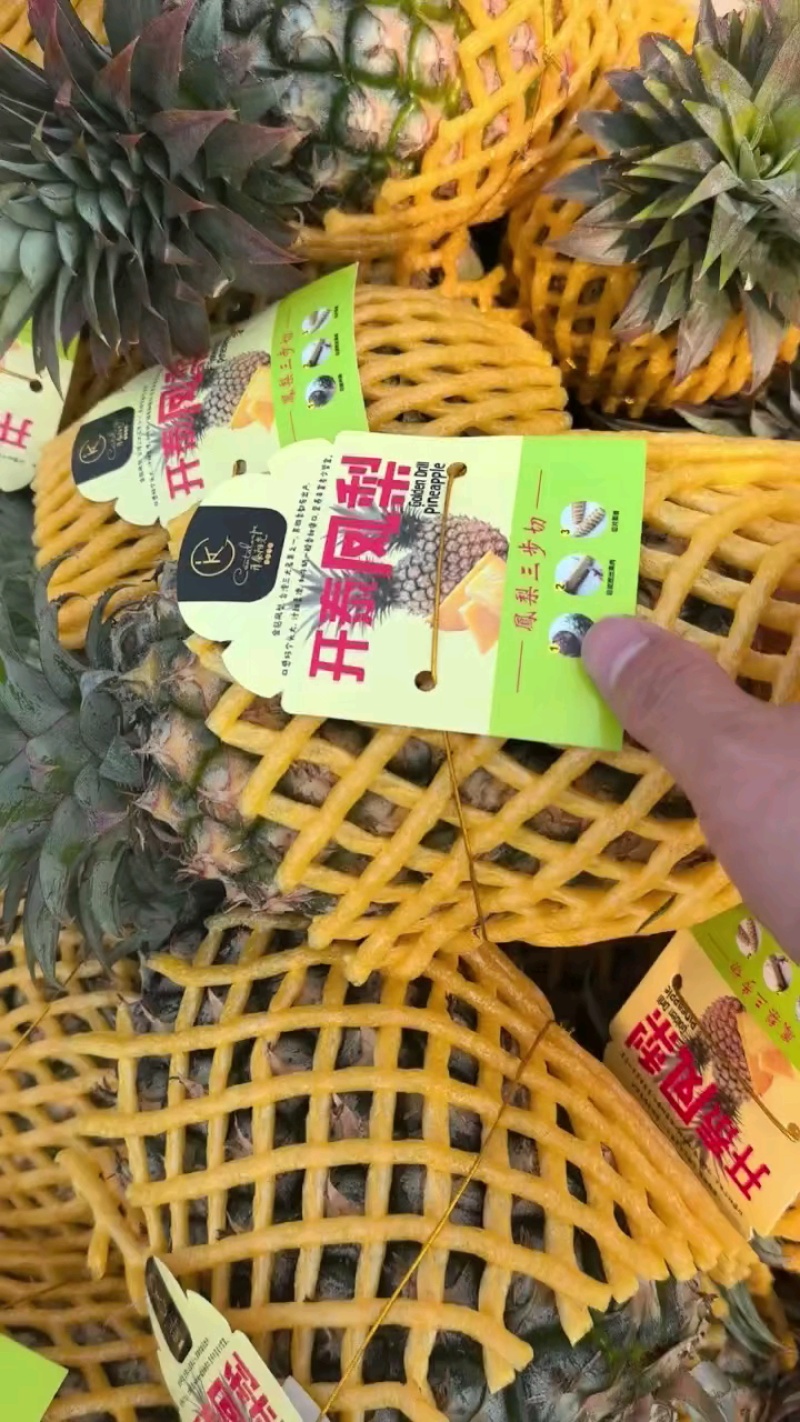 金钻凤梨