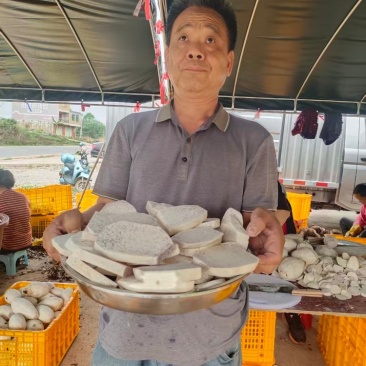 【精选】广西荔浦芋芋头产地直发视频看货量大从优