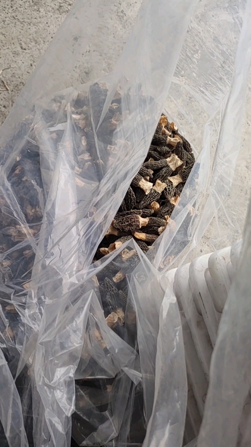 8级永磁，20斤货，品质好又黑又干。