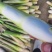 浙江双季茭白,常年代收,各等级有货做全国业务量大