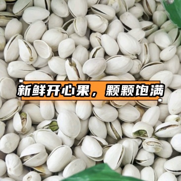 现货开心果，一件代发可批发