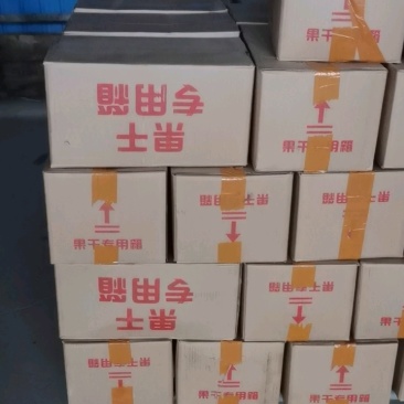【用眼多吃蓝莓干】精品装长白山野生蓝梅干特级新鲜蓝莓干