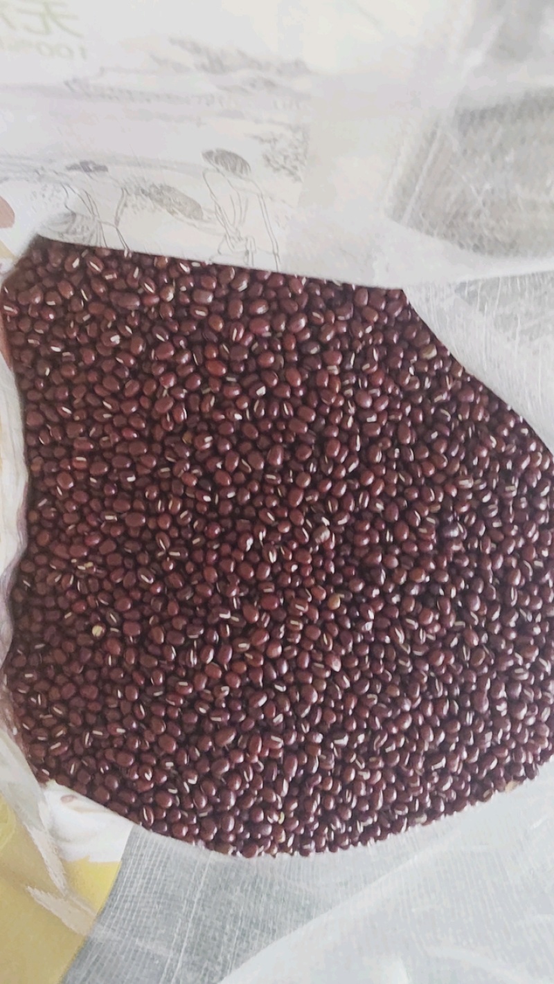 红豆，红小豆，珍珠红，农安红，日本红，食品级红小豆
