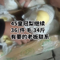 皇冠梨现货供应、价格合理、品质好、保质保量