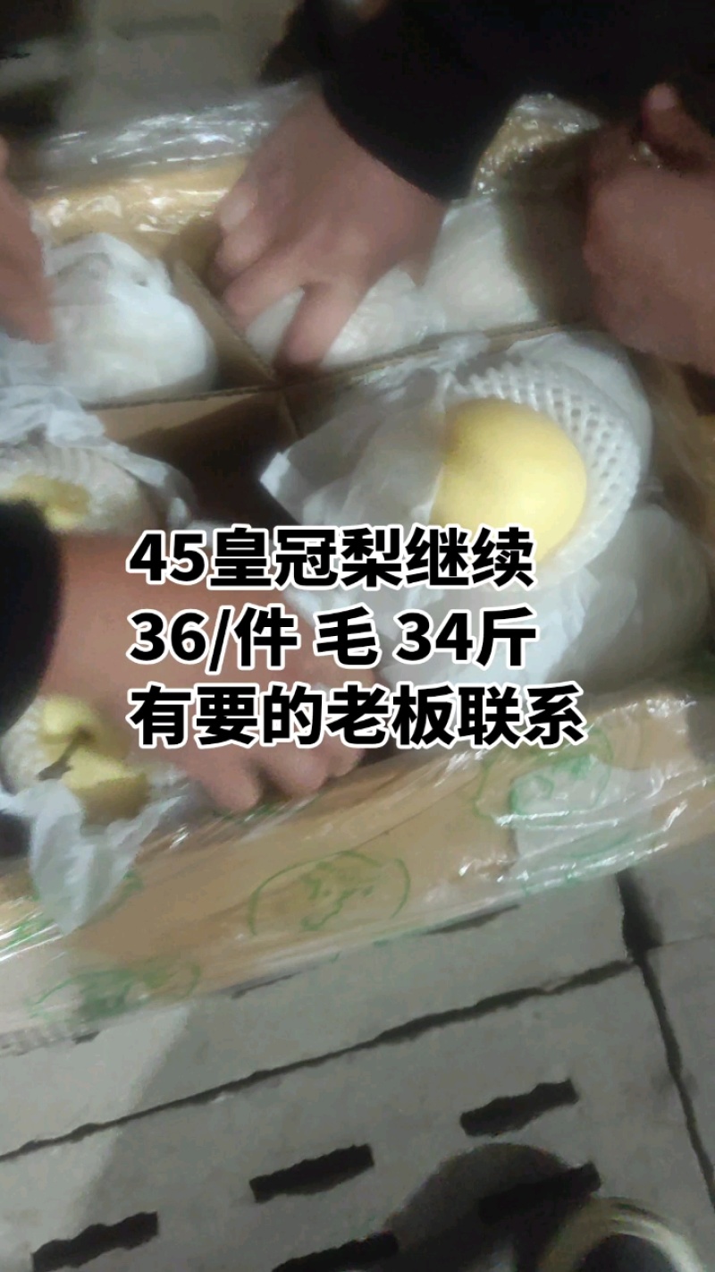 皇冠梨现货供应、价格合理、品质好、保质保量