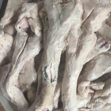 精品驼掌，去皮去骨去蹄筋纯驼掌，大量现货，超低价！