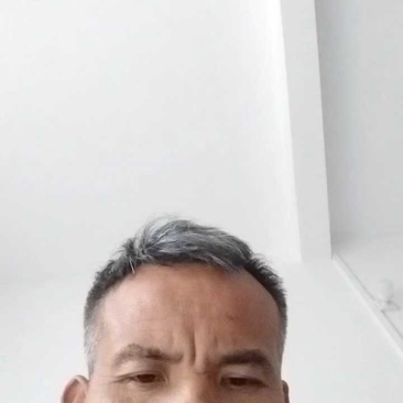 广西黑皮黄皮甘蔗