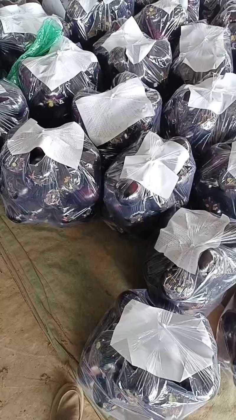 精品圆茄，质量漂亮无杂质。