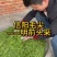 信阳毛尖，高山野茶好茶不怕品，明前茶上市