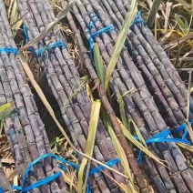 【热销】广东黑皮甘蔗甘蔗产地直发全国发货皮脆汁多