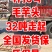 山东毛芋头8520芋头/芋头种/全国发货坏烂包赔