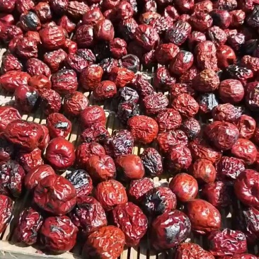 炒枣炒焦枣泡茶八宝茶盖碗茶用枣