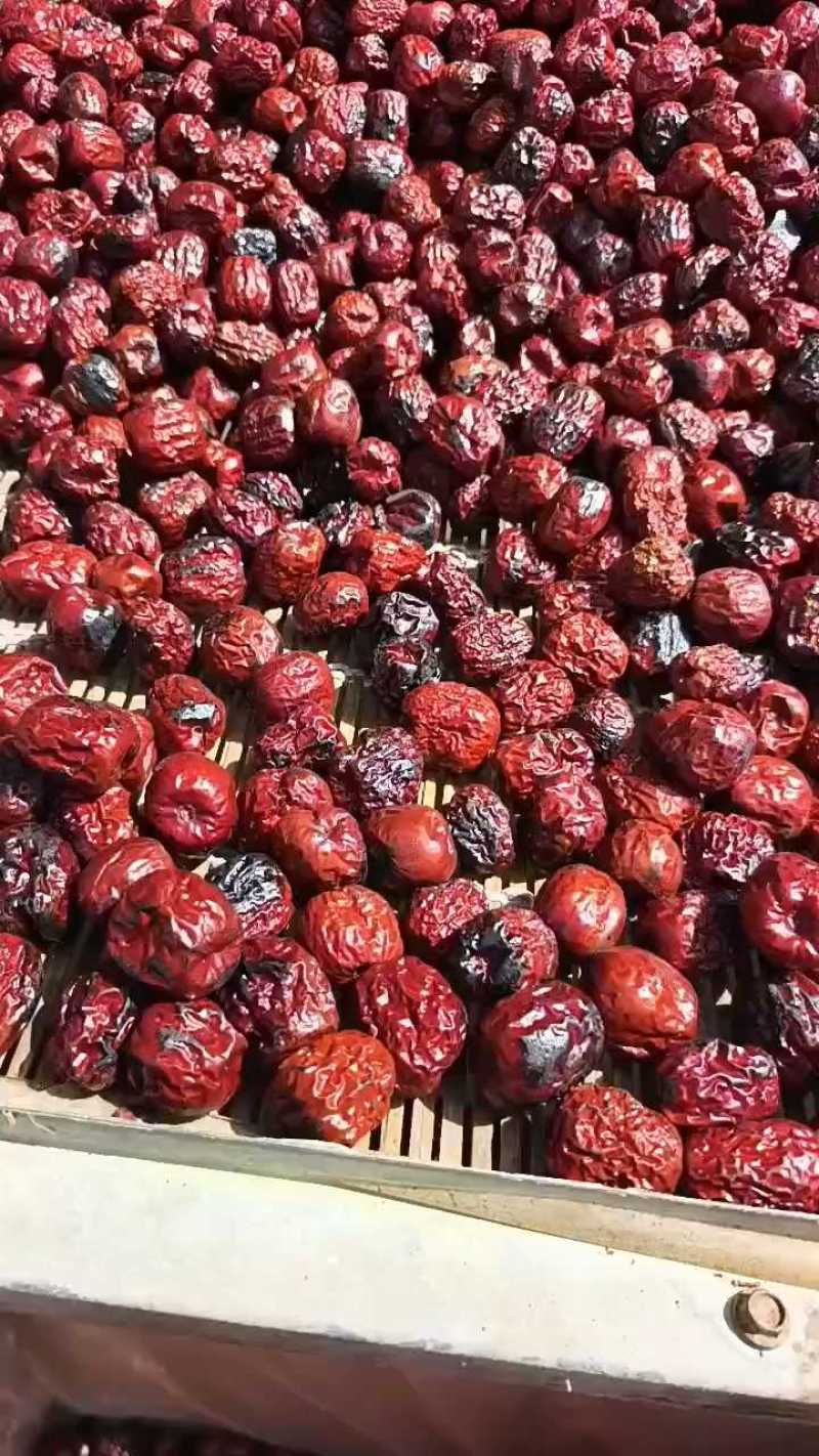 炒枣炒焦枣泡茶八宝茶盖碗茶用枣