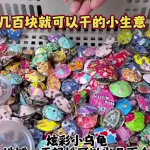 网红七彩小乌龟炫彩小乌龟包活邮送龟粮地摊夜市公园广场热销