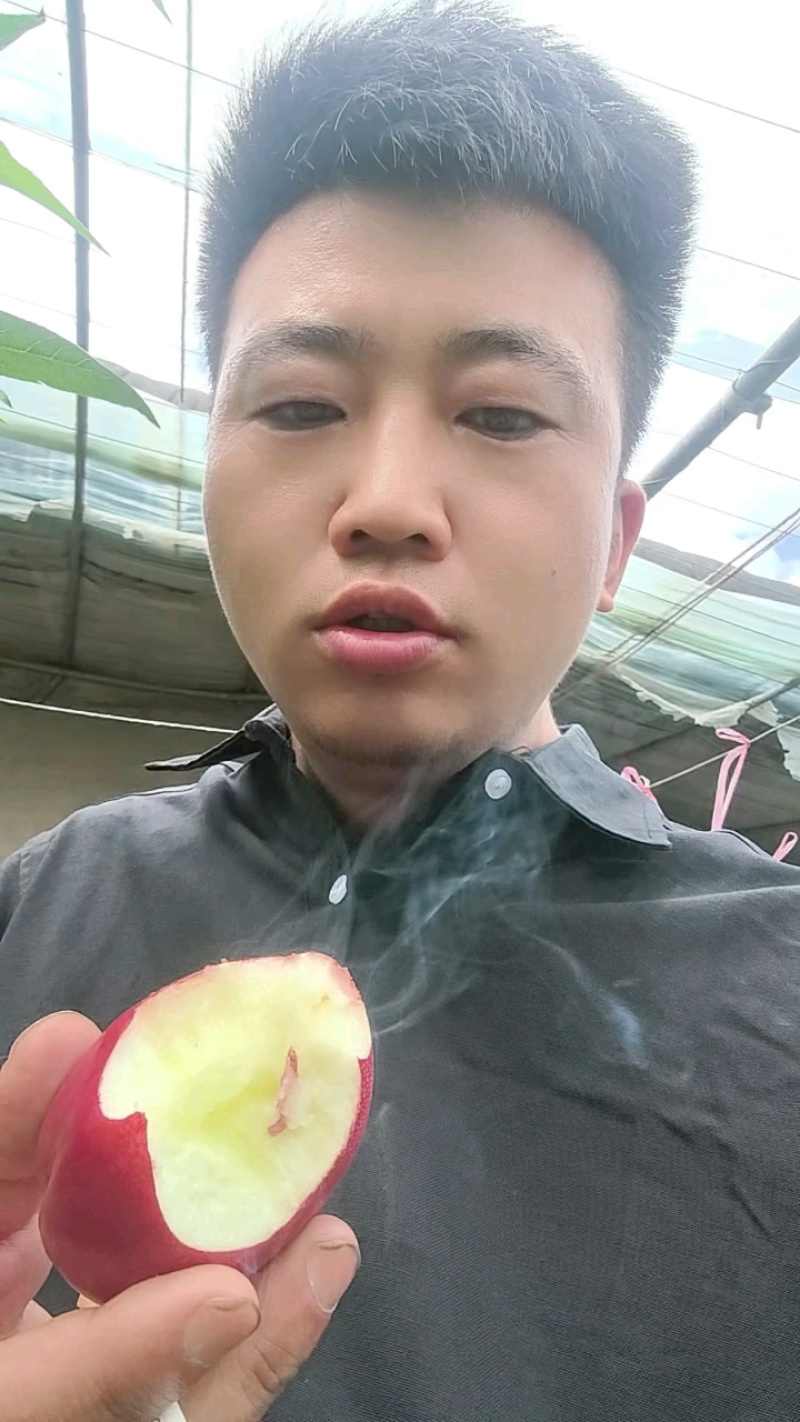 油桃:山东油桃中油4号:代收代发全国各地市场对接电商团购