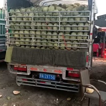 海南乐东哈密瓜，大量上市口感好糖分高质量保证，价格不高，