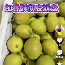 绥中红香酥梨大量有货，3两起步，0.7元起！欢迎广大客户