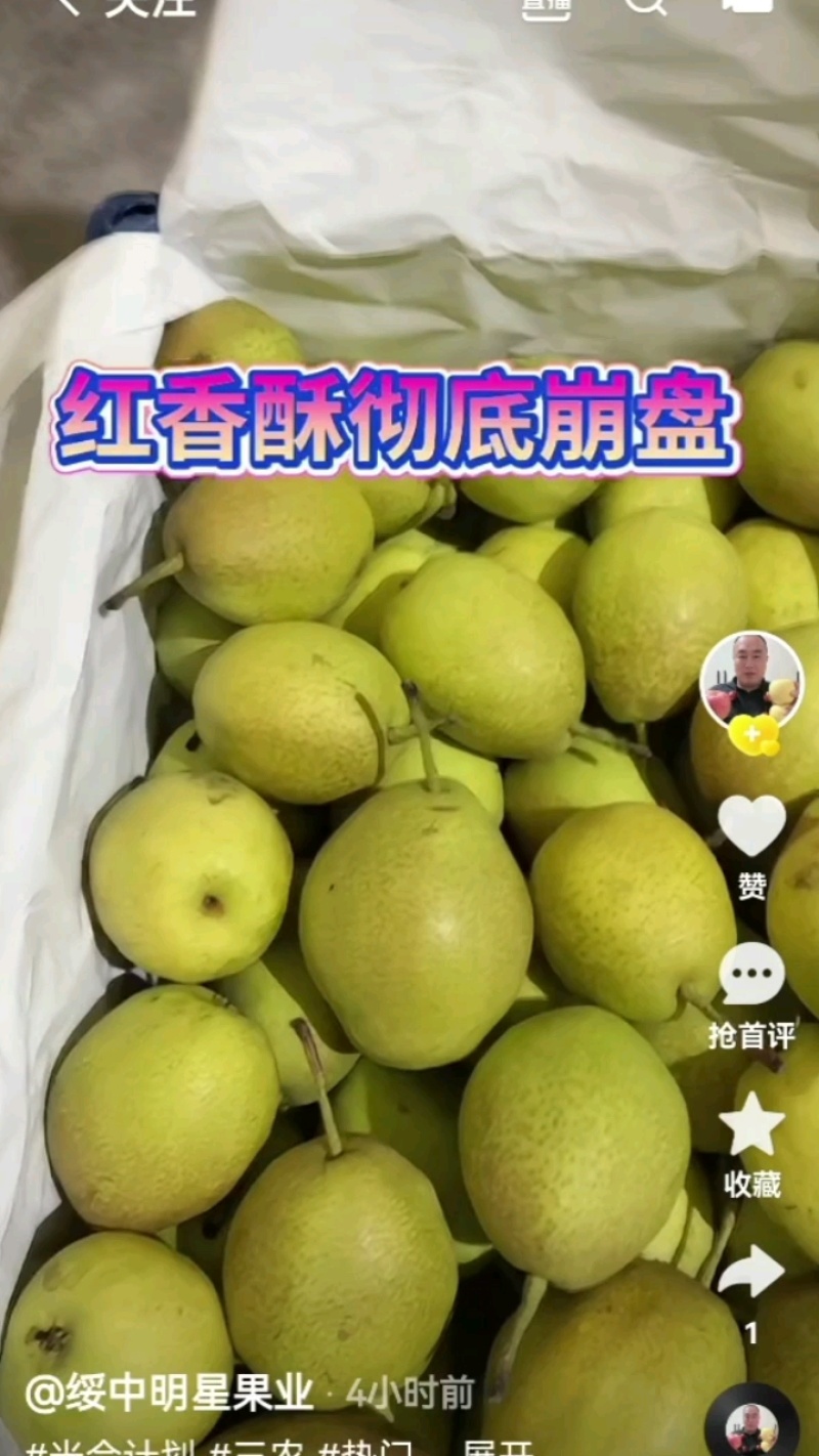 绥中红香酥梨大量有货，3两起步，0.7元起！欢迎广大客户