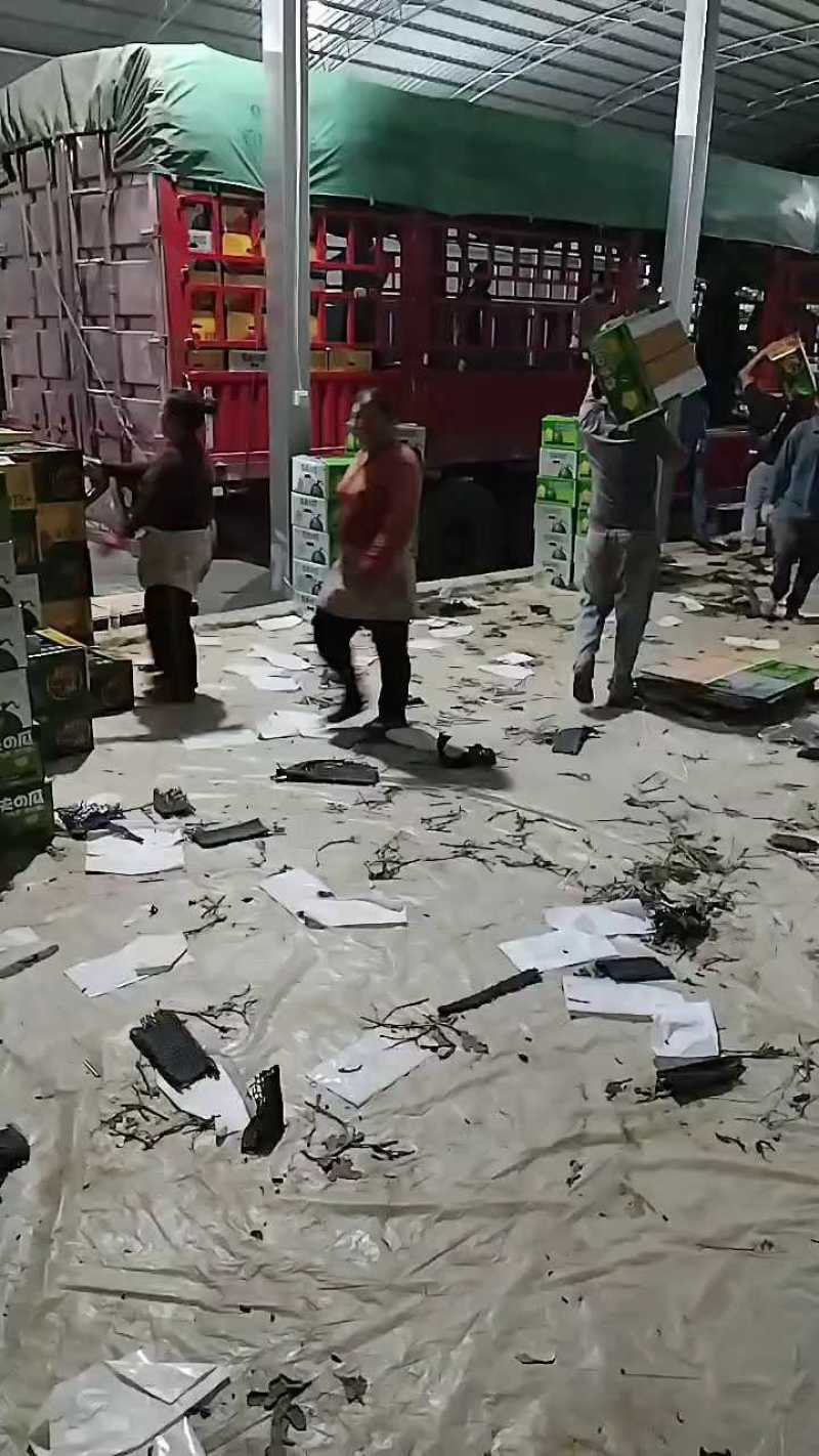 云南露天甜王西瓜，大吨位供应！