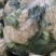 小米花菜30斤装，品相优质不带套。