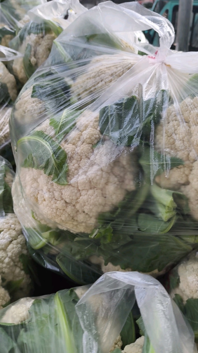 小米花菜30斤装，品相优质不带套。