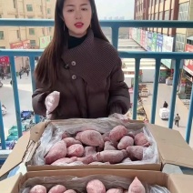 鲜冻羊宝3元/个，冷链发货，大小规格齐全！