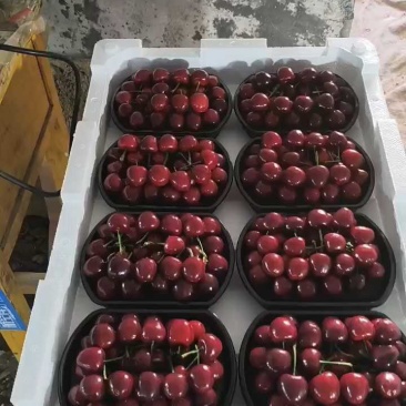 美早十合一打包中，红灯合一正发货。
