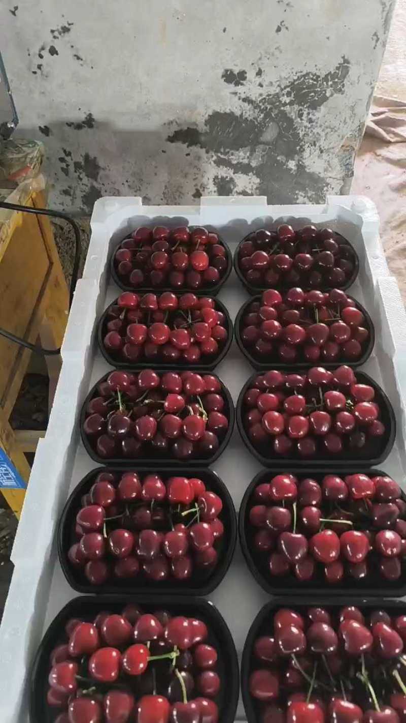 美早十合一打包中，红灯合一正发货。