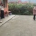 石棉黄果柑，又名黄金果，小丑橘口感好价格优惠