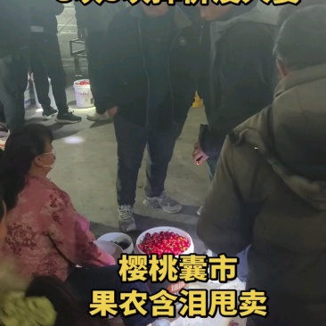 美早樱桃，布鲁克斯红灯樱桃等品种大量上市全国发货保质保量