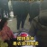 美早樱桃，布鲁克斯红灯樱桃等品种大量上市全国发货保质保量