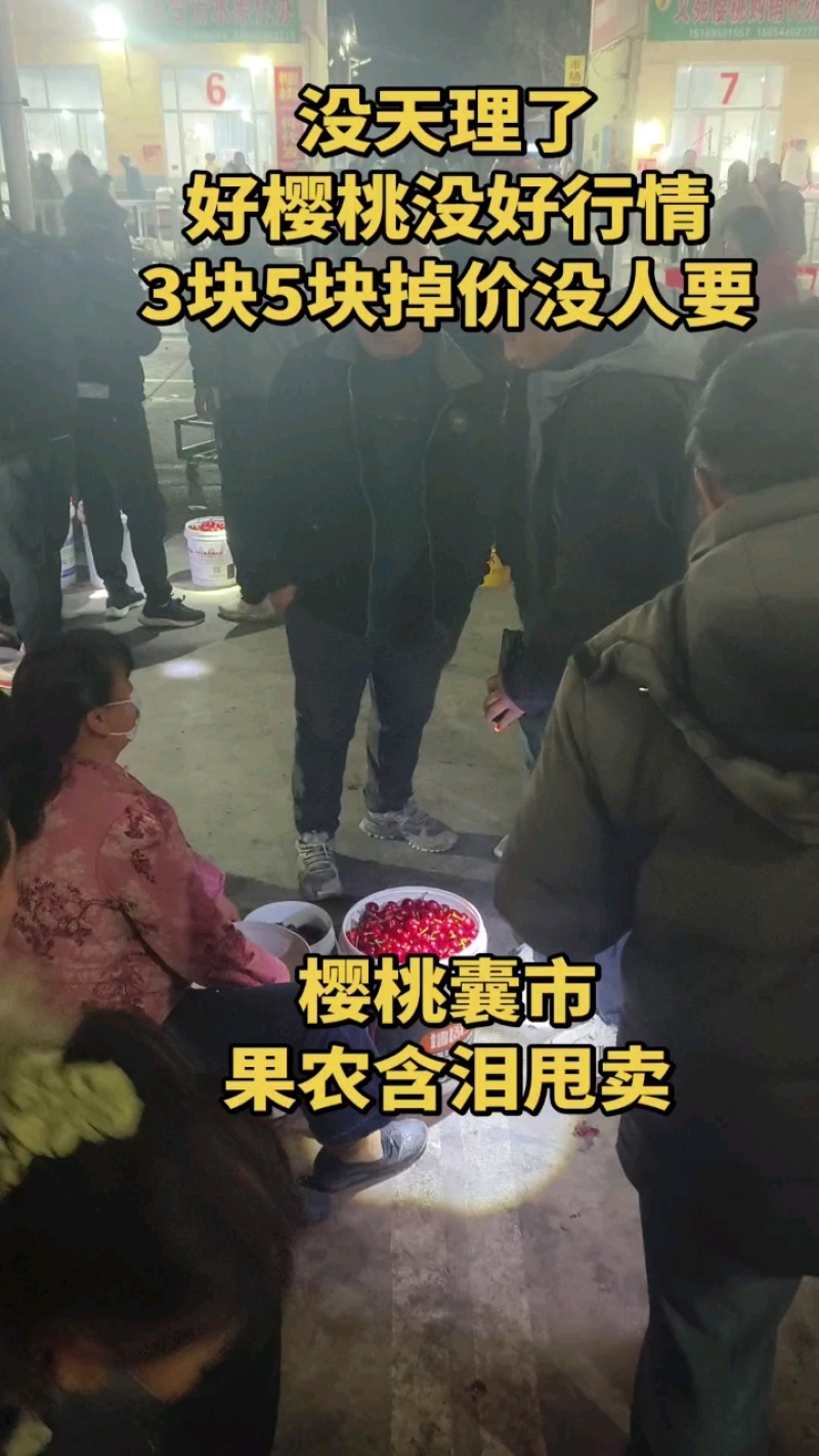 美早樱桃，布鲁克斯红灯樱桃等品种大量上市全国发货保质保量